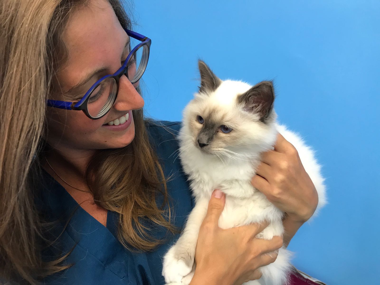 Ambulatorio veterinario Fiocco Scalvi detartarizzazione