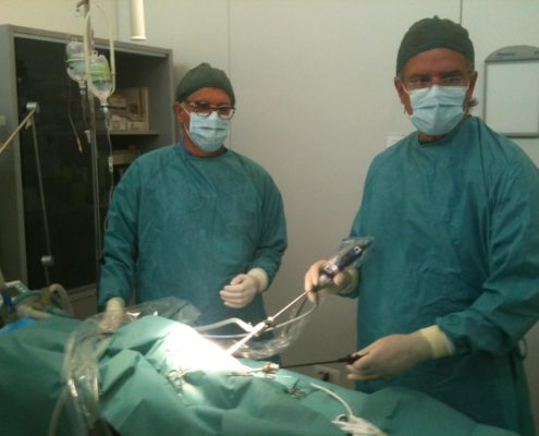 ambulatorio veterinario Fiocco Scalvi chirurgia mini invasiva